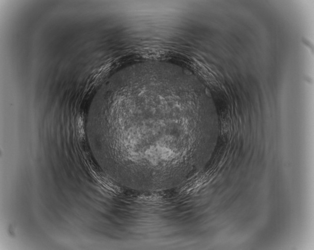 X0000097641106200802291357