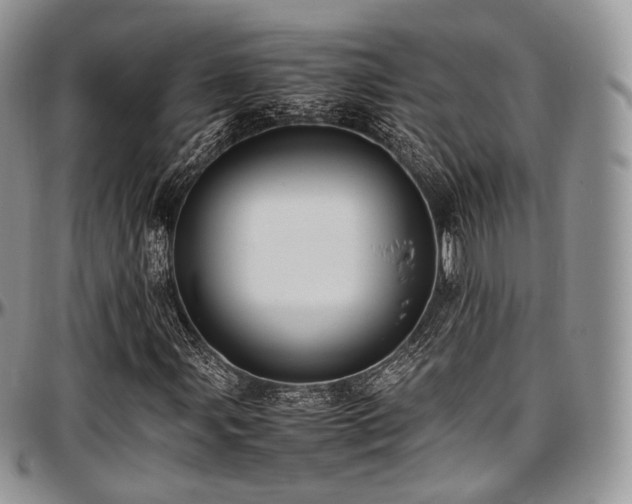 X0000097641107200802291357