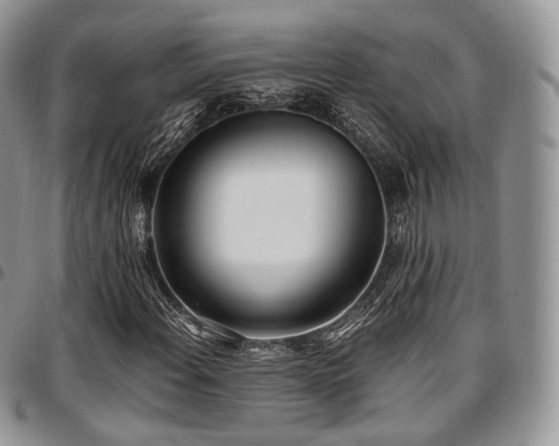 X0000097641108200802291357