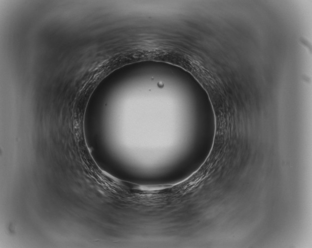 X0000097641109200802291357
