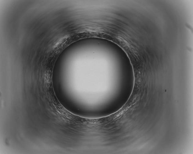 X0000097641110200802291357