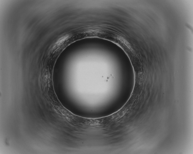 X0000097641111200802291357