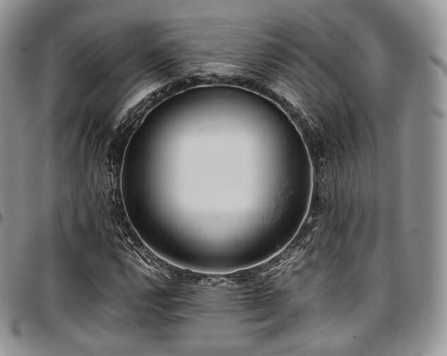 X0000097641112200802291357