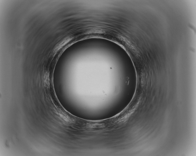 X0000097641113200802291357