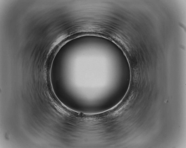 X0000097641114200802291357