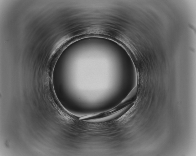 X0000097641115200802291357