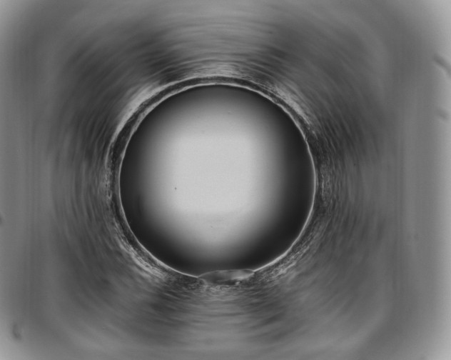 X0000097641116200802291357