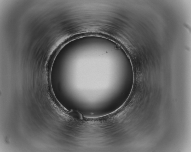X0000097641118200802291357