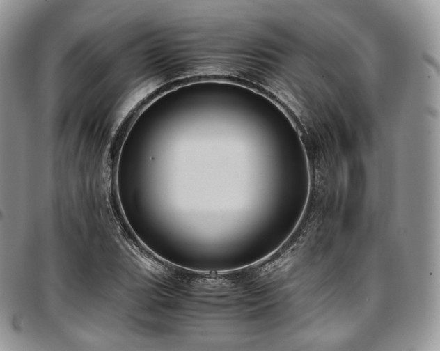 X0000097641119200802291357