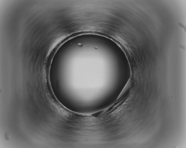 X0000097641120200802291357