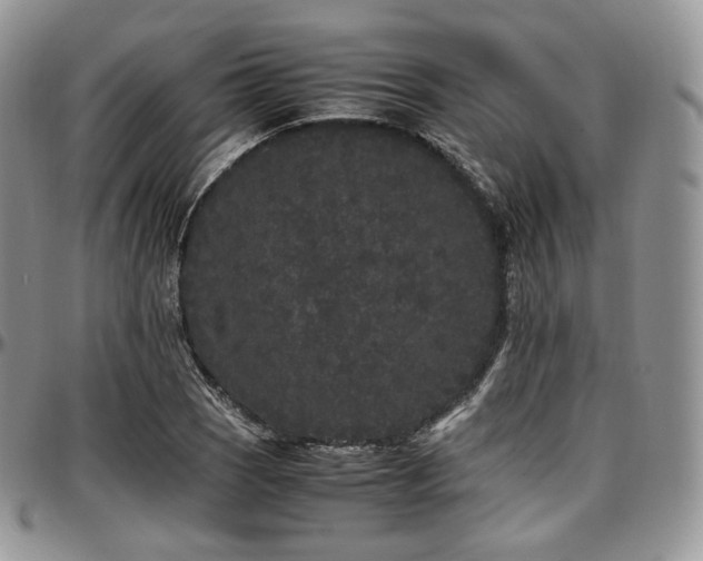 X0000097641121200802291358