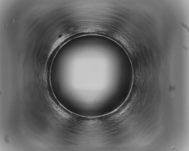 X0000097641122200802291358