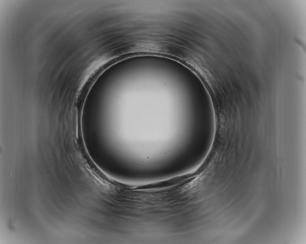 X0000097641123200802291358
