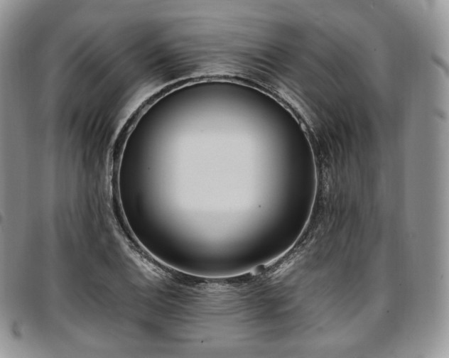 X0000097641124200802291358