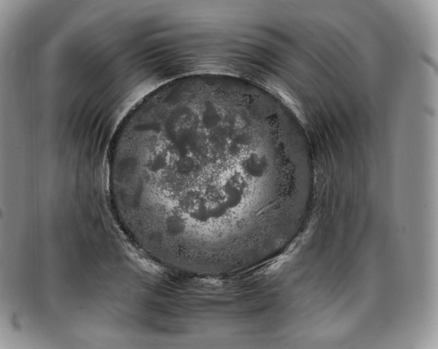 X0000097641125200802291358