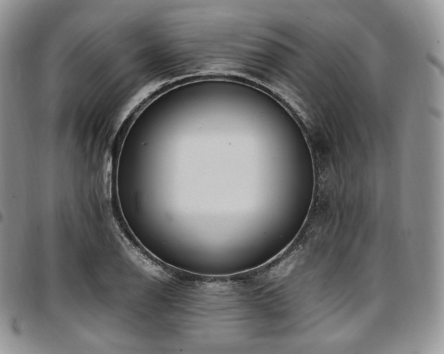 X0000097641126200802291358