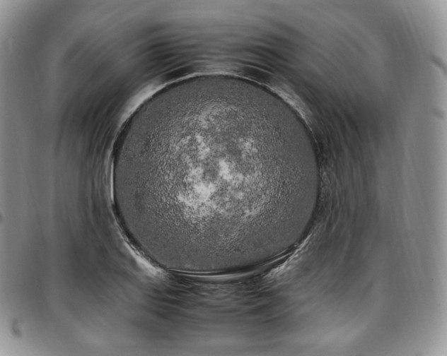 X0000097641127200802291358