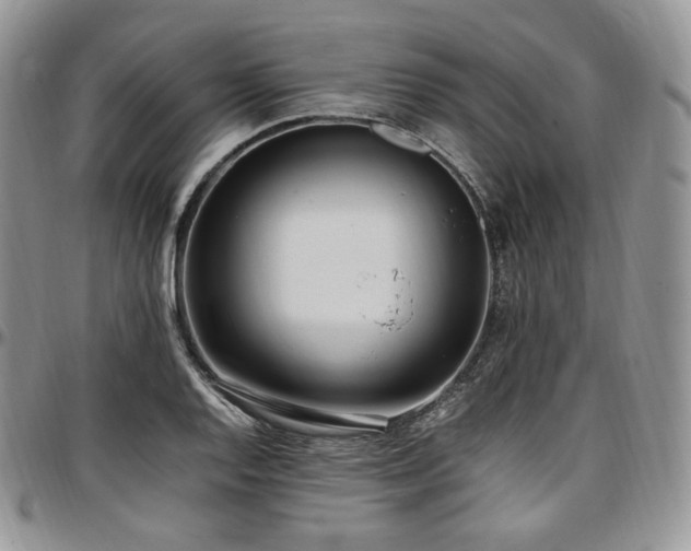X0000097641128200802291358