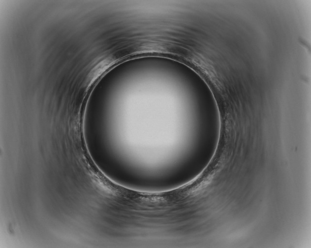 X0000097641129200802291358