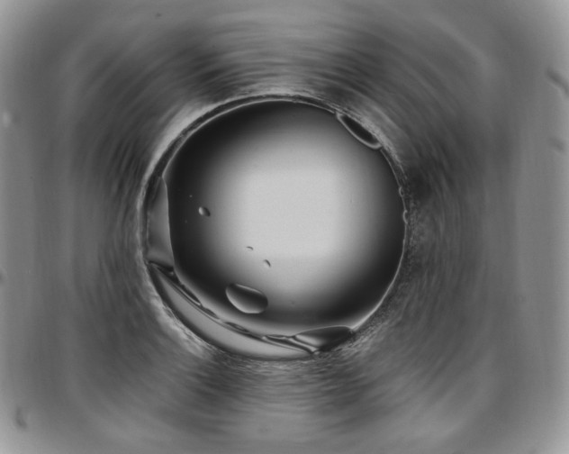 X0000097641132200802291358