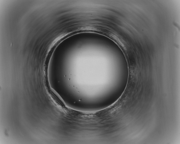 X0000097641133200802291358