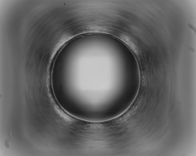 X0000097641136200802291358