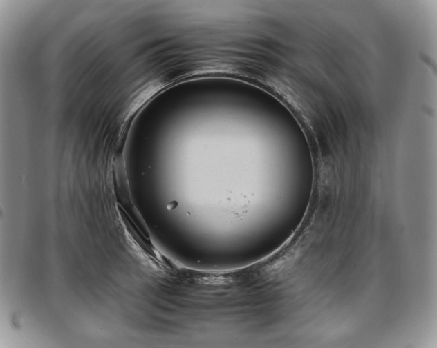 X0000097641137200802291358