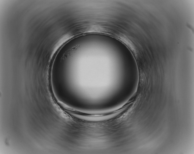 X0000097641138200802291358