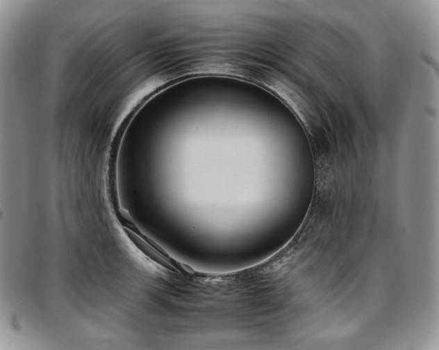X0000097641139200802291358