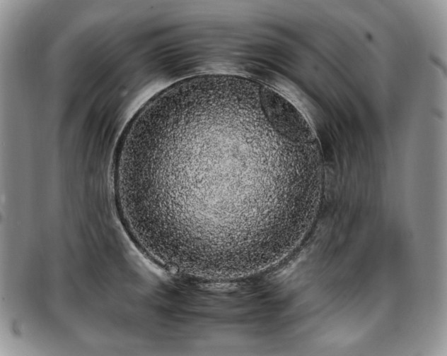 X0000097641141200802291358