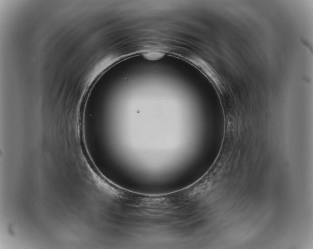 X0000097641143200802291358