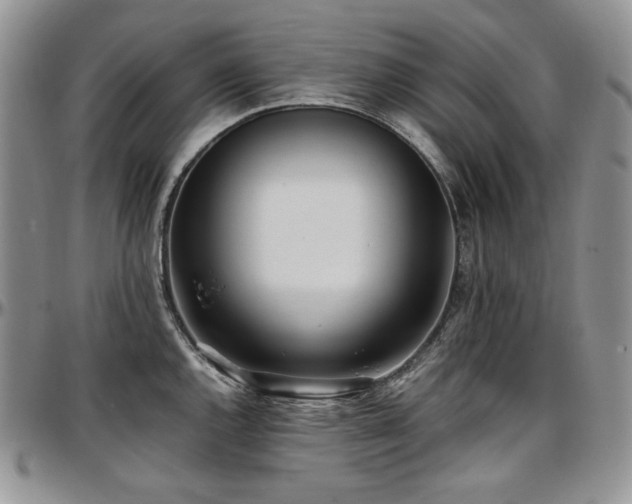 X0000097641144200802291358