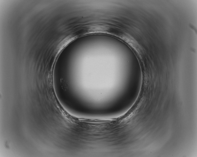 X0000097641145200802291358