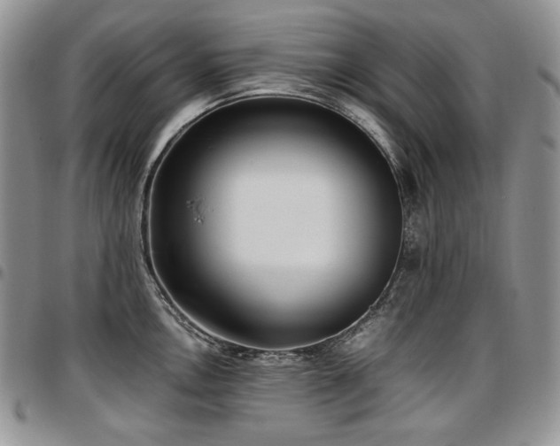 X0000097641146200802291358