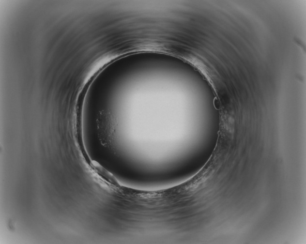 X0000097641147200802291358