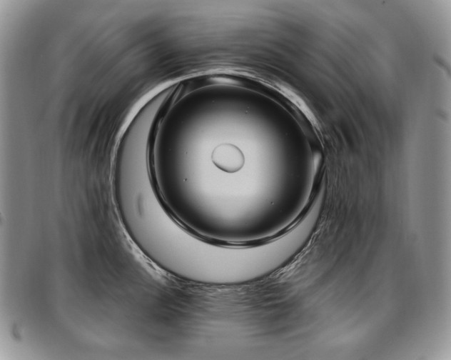 X0000097641148200802291358
