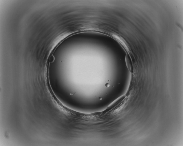 X0000097641149200802291358