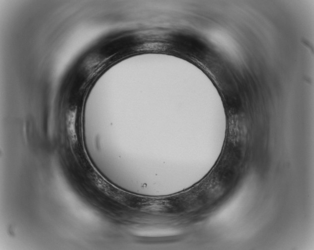 X0000097641150200802291358