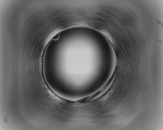 X0000097641151200802291358