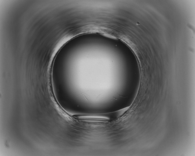 X0000097641152200802291358