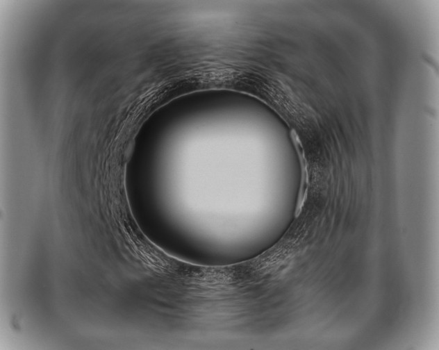 X0000097641153200802291357