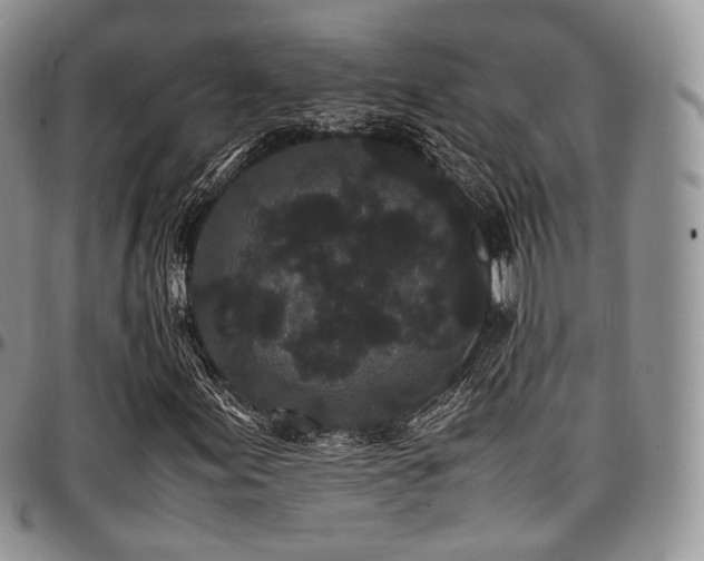 X0000097641155200802291357
