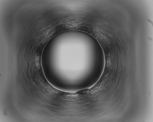 X0000097641156200802291357
