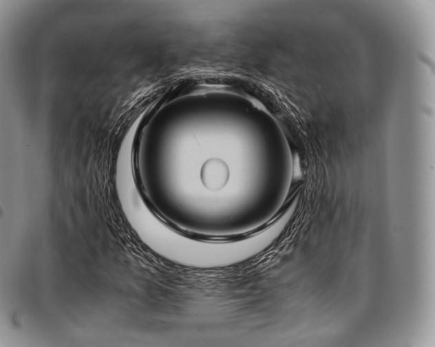 X0000097641157200802291357
