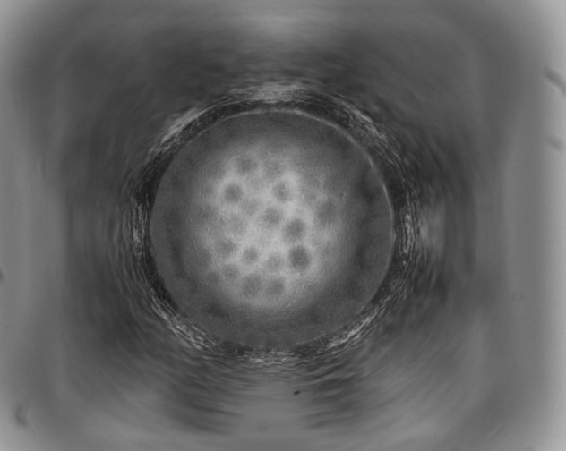 X0000097641158200802291357