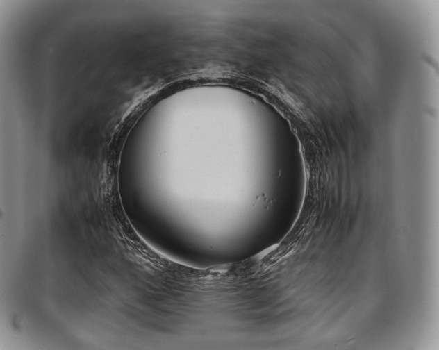 X0000097641160200802291357