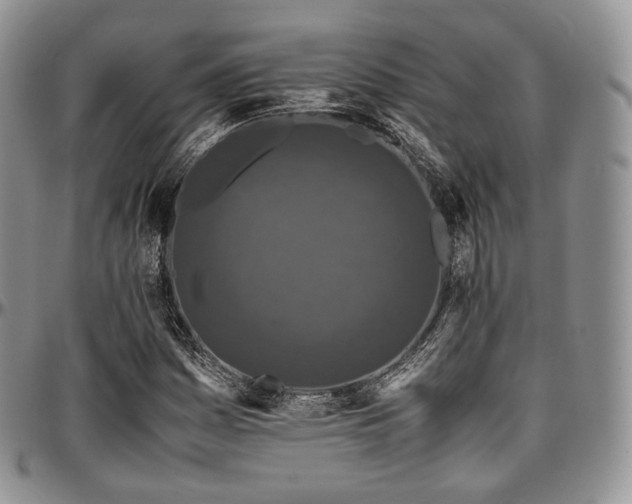 X0000097641161200802291357