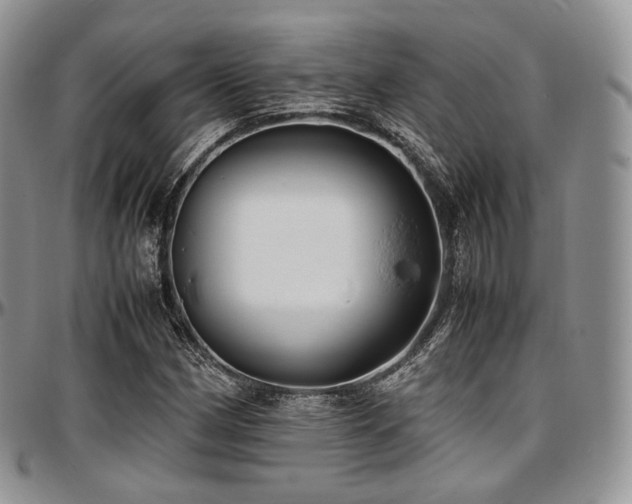 X0000097641162200802291357