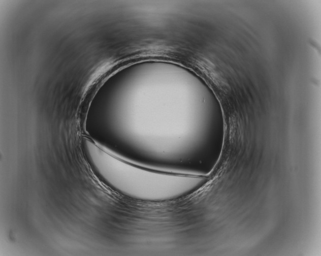 X0000097641164200802291357