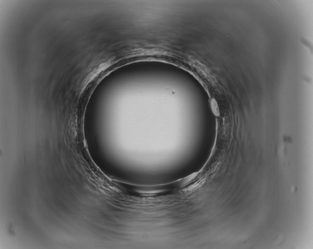 X0000097641165200802291357